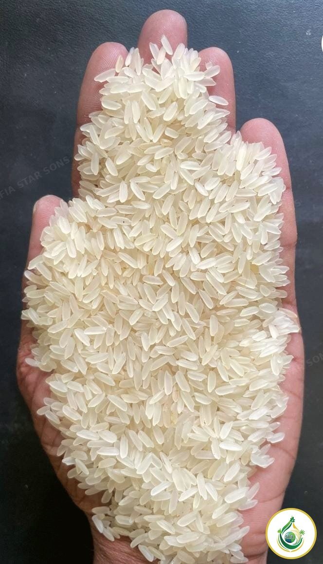 PR-11 Long Grain Rice — SAFIA premium rice grains